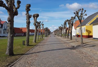 Percorso A piedi  - Blå Kløversti, Løgumkloster - Photo