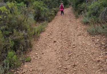 Trail Walking Roquebrune-sur-Argens - z la Bouverie 17-09-24 - Photo