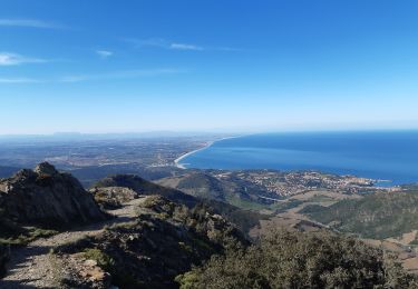 Randonnée Marche Collioure - MADELOC depuis col de la serra, via col formigo,  batterie 500, madeloc, col tellaferra  - Photo