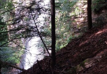 Trail Walking Mont-Dore - LES CASCADES DU ROSSIGNOLET ET DE QUEUREUILH - Photo