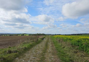 Tour Wandern Houyet - A la découverte de Furfooz 🥾 - Photo