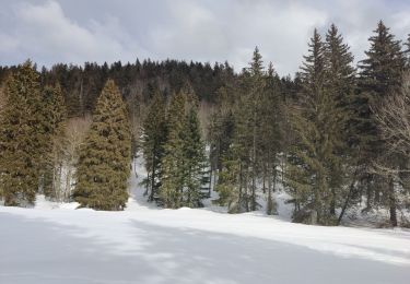 Randonnée Raquettes à neige Autrans-Méaudre en Vercors - Pas de Nave  - Photo