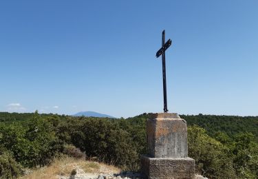 Tocht Stappen Rasteau - Rasteau Serre de la Garde - Photo