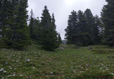 Trail Walking Saint-Agnan-en-Vercors - pré râteau, pas de Berrieves, pas de la ville - Photo