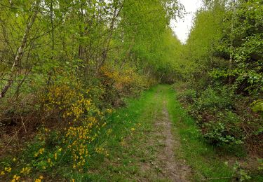 Trail Walking Clavier - Pailhe  - Photo