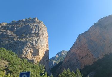 Excursión Senderismo La Javie - LA ROBINE  , S Jean du Désert  , lames Facibelle o l m s - Photo