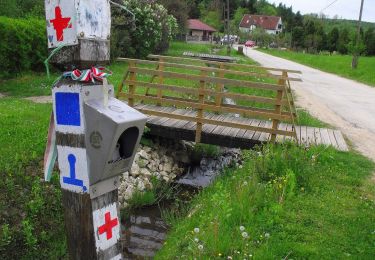 Percorso A piedi Farkasgyepű - K+ (Farkasgyepű - Németbánya - Kő-domb) - Photo