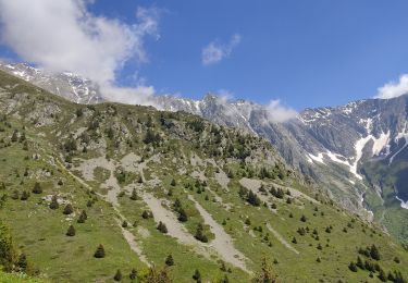 Tour Wandern Lavaldens - tête de barbalon - Photo