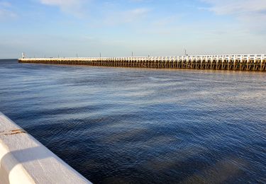 Tocht Stappen Koksijde - Oostduinkerke - Nieuwpoort - Photo