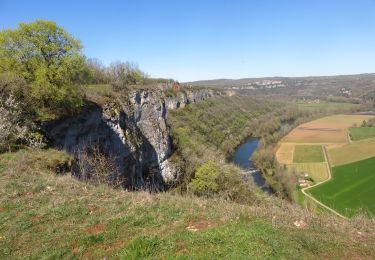 Tocht Stappen Saujac - Saujac-Bastides et Gorges de l'Aveyron - Photo