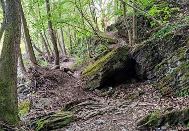 Trail Walking Limbourg - Promenade vers la Belle-Vue  - Photo