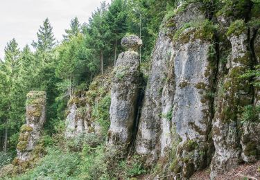 Tocht Te voet Velburg - Velburg-St.Colomann - Photo