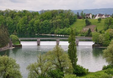 Tocht Te voet Rheinau - Brücke Rheinau - Strick - Photo