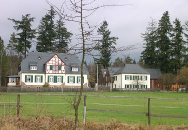 Tour Zu Fuß Bad Sobernheim - Entenpfuhl 2 - Photo