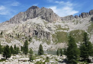 Trail Walking Isola - Isola - Col Mercière - Lac de Tavel - Photo