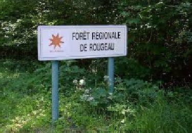 Randonnée Marche Saint-Pierre-du-Perray - J 31 Boucle dans le Sud de la Forêt de Rougeau - Photo
