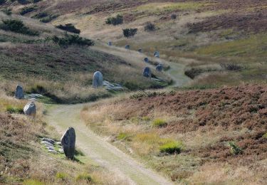 Trail On foot  - Gul - Photo