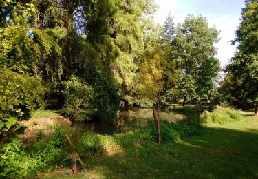 Tocht Stappen Tours (Indre-et-Loire) - Tours - 2015 08 16 - GR nord Loire - Photo