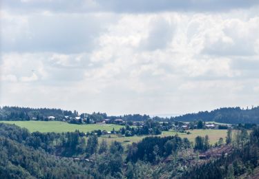 Randonnée A pied Steinach - Auf den Spuren des Schieferbergbaus - Photo