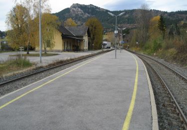 Tocht Te voet Gemeinde Grünbach am Schneeberg - 1. Rundwanderweg um den Sonnleitenberg - Photo