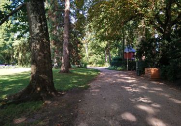 Randonnée Marche Tours - Tours - Prébendes GR3 le Cher La Gloriette - 10.3km 50m 1h55 - 2018 10 21 - Photo