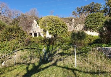 Trail Walking La Valette-du-Var - fin tourris le Revest - Photo