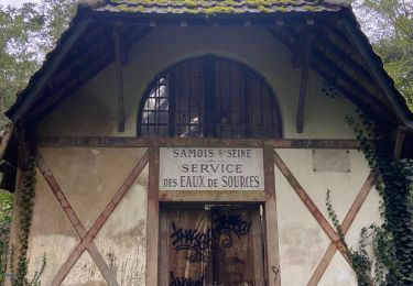 Excursión Marcha nórdica Samois-sur-Seine - Samois nord rocher cassepot  tour denecour  - Photo