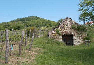 Excursión A pie Köveskál - K+ (Csere-kút - Köveskál, monoszlói elágazó) - Photo