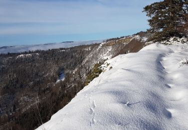 Randonnée Raquettes à neige Les Bouchoux - Orvaz raquettes2 - Photo