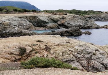 Percorso Sentiero Six-Fours-les-Plages - Île de Gaou - Photo