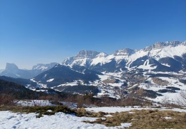 Trail Snowshoes Gresse-en-Vercors - Gresse en Vercors :pas du Serpaton-Rocher du Baconnet-Uclaire-pas du Bru - Photo
