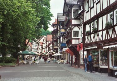 Percorso A piedi Bad Sooden-Allendorf - Rundweg Nr.15 