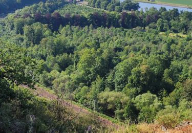 Excursión Senderismo Yvoir - Yvoir, boucle sur les roches, réserve de Champalle - Photo