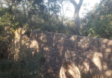 Excursión Senderismo Roquebrune-sur-Argens - Le sentier de l'eau - Photo