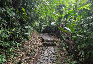 Randonnée Marche Saint-Claude - Guadeloupe - Chute du Galion - La Citerne - Photo