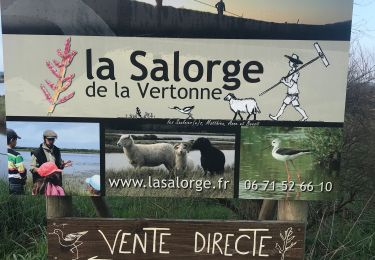 Excursión Senderismo Les Sables-d'Olonne - Rando du 25-01-2020 - Photo