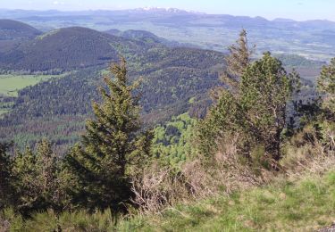 Trail Walking Orcines - le puy de dome - Photo