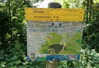 Randonnée Marche Argelès-Gazost - ARGELES-GAZOST chateau et lac d'Arcizans depuis l'Arieulat  faitG - Photo