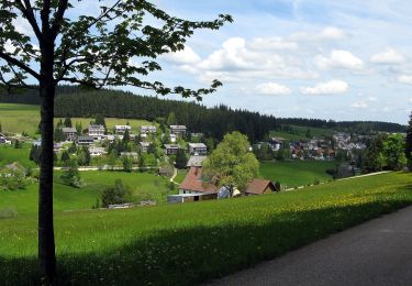 Trail On foot Furtwangen im Schwarzwald - Furtwangen - Escheck - Photo