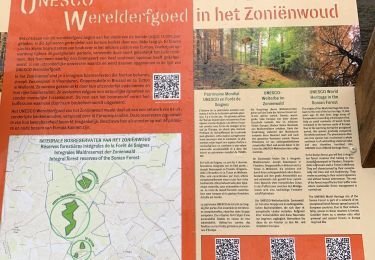 Trail Walking Hoeilaart - Groenendaal Ecoduc e Unesco - Photo