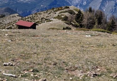 Tocht Stappen Thiéry - mont fracha  - Photo