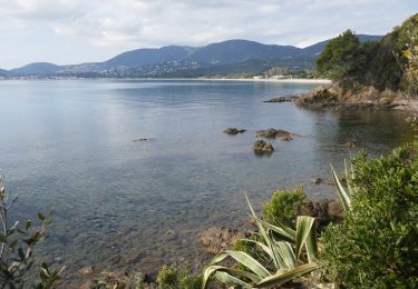 Tour Wandern La Croix-Valmer - Littoral baie de Cavalaire - Photo