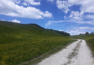 Trail On foot Bosco Chiesanuova - Pissarotta ponte SP 15 - San Giorgio - Photo