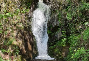 Trail Walking Val-de-Sos - La soulane de vicdessos - Photo