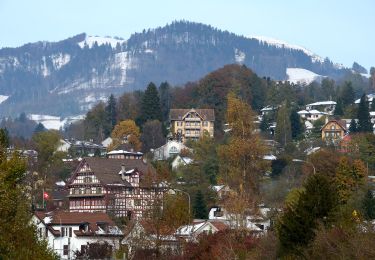 Tocht Te voet Wald (ZH) - Wald - Bannholz - Photo