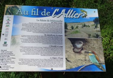 Excursión Senderismo Cournon-d'Auvergne -   Cournon (Malmouche , le Pont de Dallet) - Photo