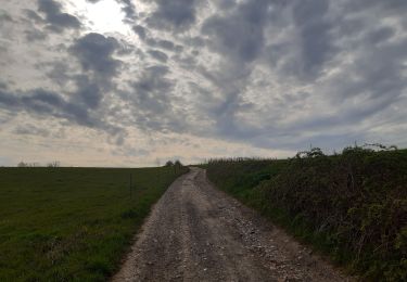 Tocht Stappen Oupeye - promenade au pays des macrales - Photo