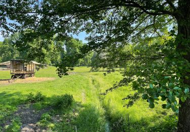 Trail On foot Halbe - Rundwanderweg (Halbe-Semmelei...) - Photo