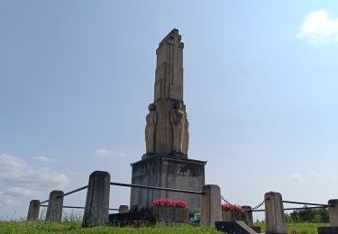 Excursión Senderismo Laines-aux-Bois - Laines Aux Bois - Photo