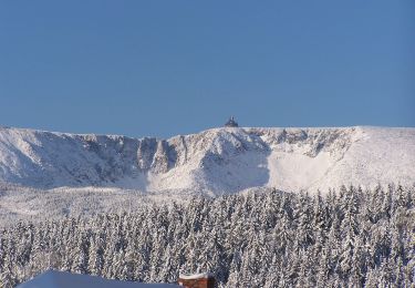 Tocht Te voet  - Piechowice - Pod Wielkim Szyszakiem - Photo